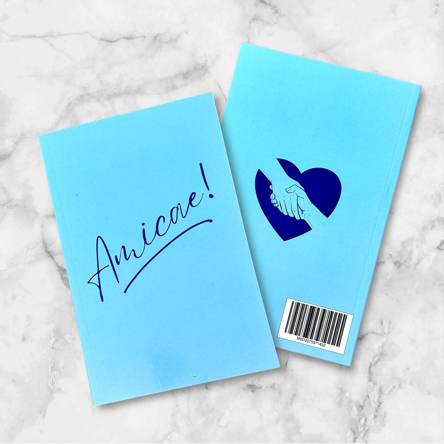 AMICAE!-A Journal - NJ Amicae Induction (Feb 22, 2026)