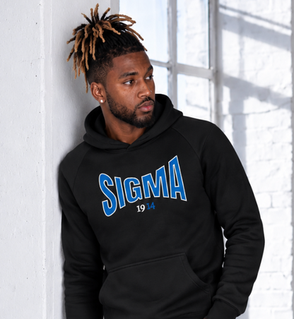 BIG SIGMA Super Heavyweight Embroidered Hoodie