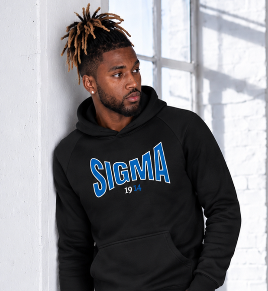 BIG SIGMA Super Heavyweight Embroidered Hoodie
