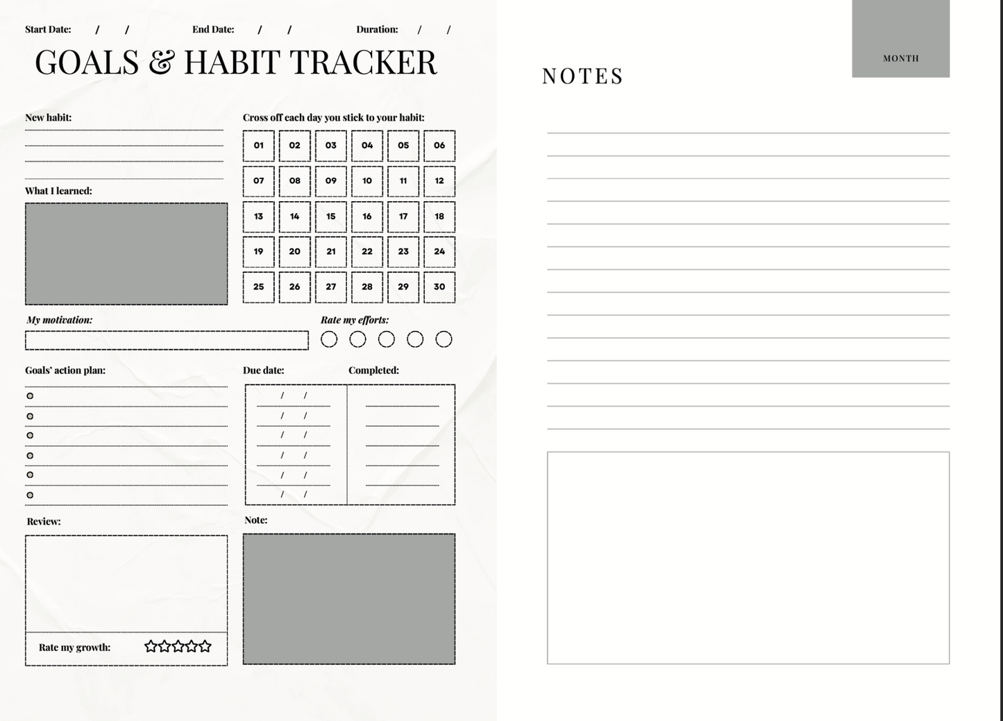 SWING! The L.A.D.Y.B.U.G. Planner A 13 Month Journal of Empowerment & Organization
